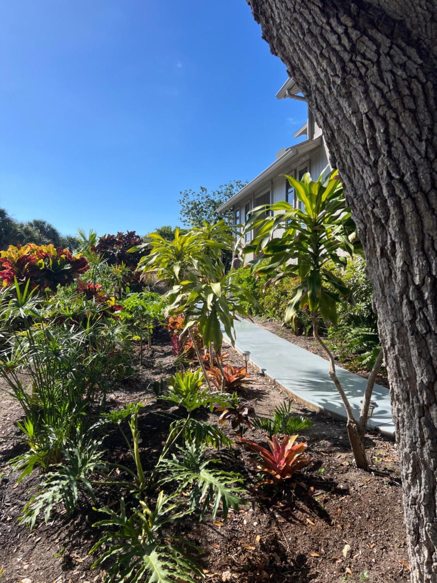 فيلا Tropical Bay House إنغلوود المظهر الخارجي الصورة